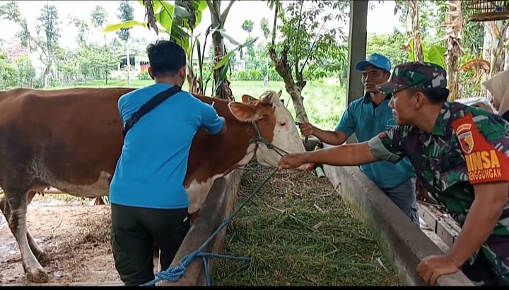 VAKSINASI PMK TAHAP II DESA TEMENGGUNGAN